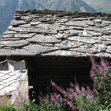 Alpia 26 - Zwei Zimmerwohnung In Traditionellem Walliser Haus Gasenried Bagian luar foto