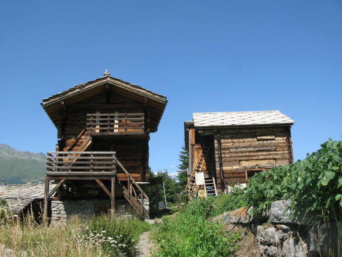 Alpia 26 - Zwei Zimmerwohnung In Traditionellem Walliser Haus Gasenried Bagian luar foto