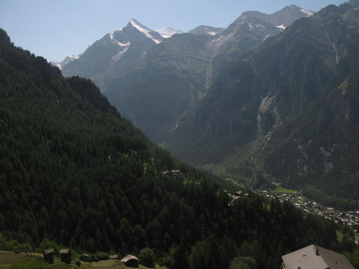 Alpia 26 - Zwei Zimmerwohnung In Traditionellem Walliser Haus Gasenried Bagian luar foto